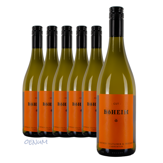 5+1 Flaschenbonus • Grüner Veltliner & Friends 2024