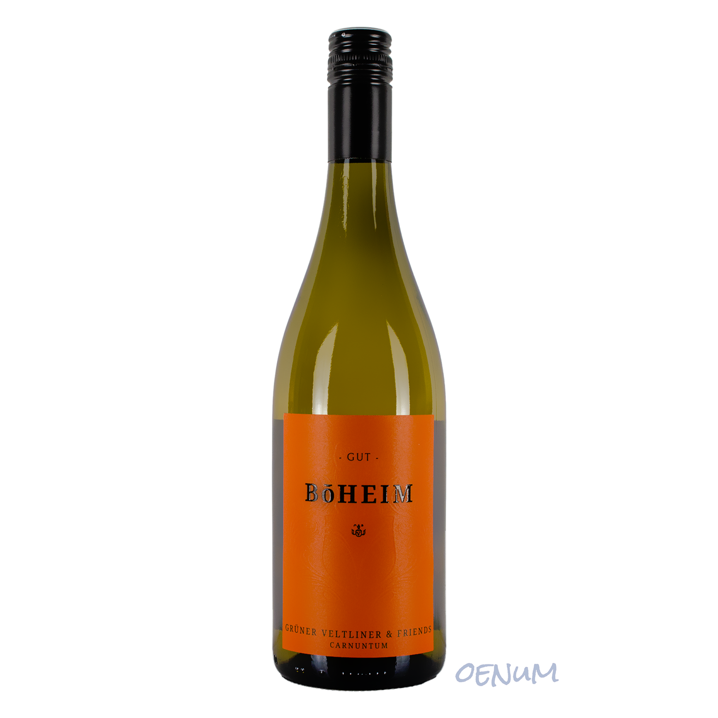 Grüner Veltliner & Friends 2024