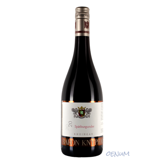 Spätburgunder VDP Gutswein 2020