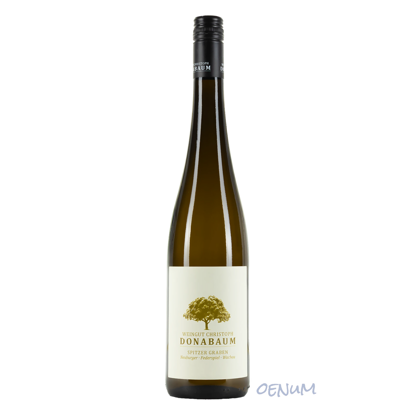 Neuburger Federspiel Spitzer Graben 2024