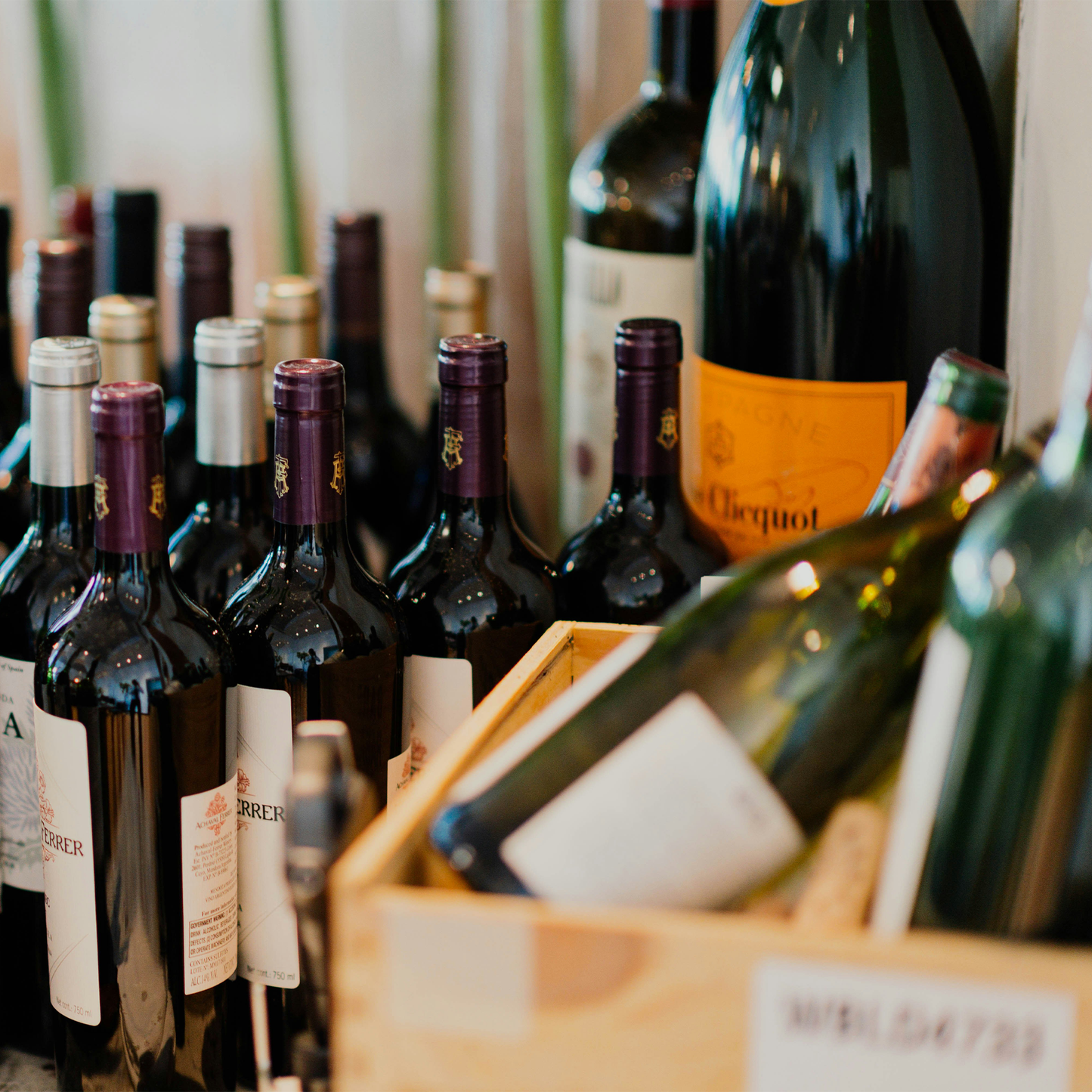 Weinabo Experience • 6 Flaschen